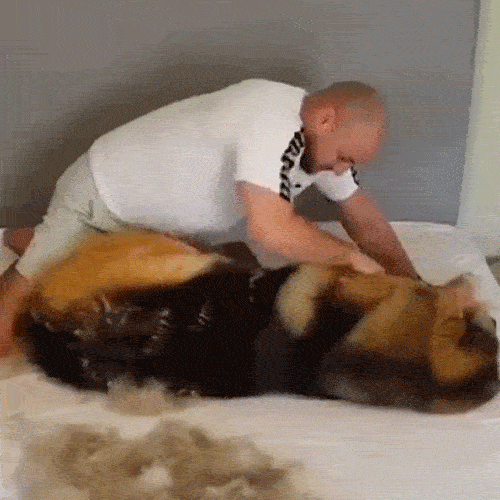 903530661cf7d4884722d65a549b7e56.gif