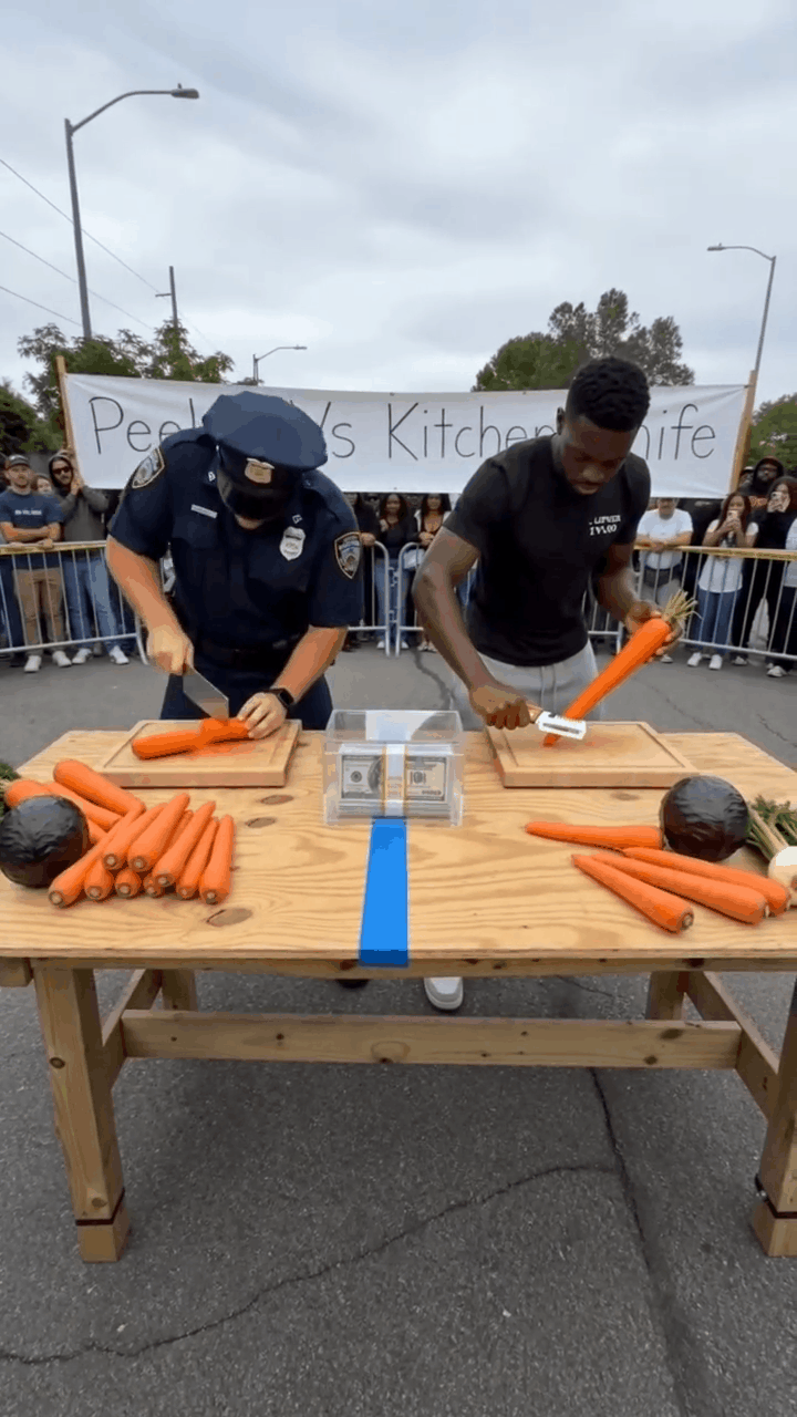 animat674654ion_edited.gif