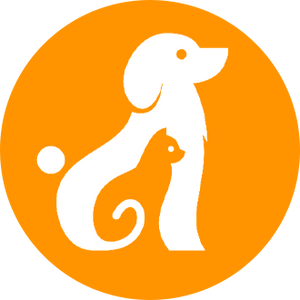 f42c6157-9542-4a1f-f959-966c4a35d200.png