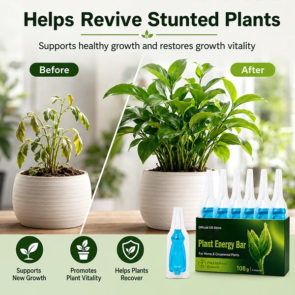 Official US Store  thesbox® Plant Energy Bar