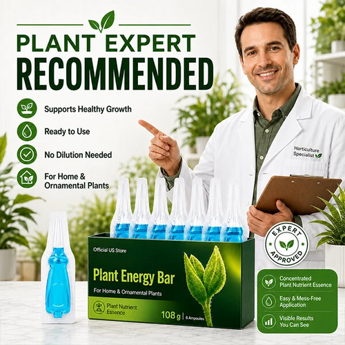 Official US Store  thesbox® Plant Energy Bar